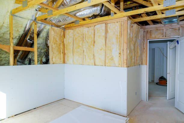 Best Insulation Removal  in Stonewood, WV