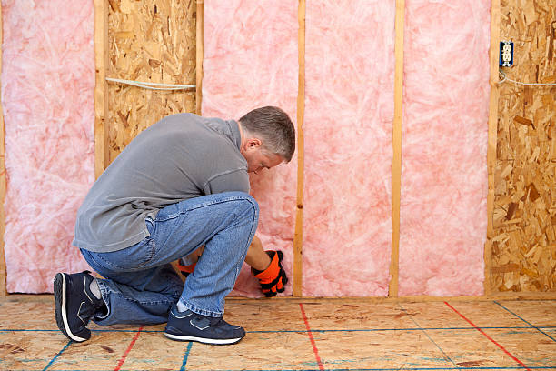 Best Cellulose Insulation  in Stonewood, WV